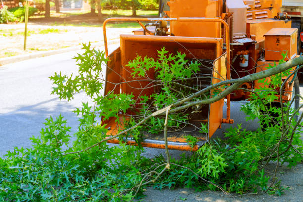 Best Landscape Design and Installation  in Cherry Hill Mall, NJ